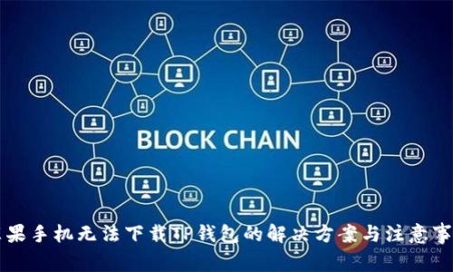 苹果手机无法下载TP钱包的解决方案与注意事项