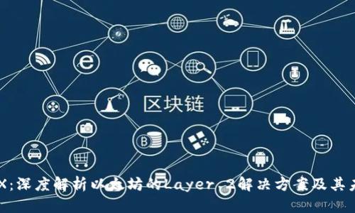 IMX：深度解析以太坊的Layer 2解决方案及其未来