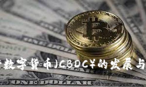 国际央行数字货币（CBDC）的发展与未来展望
