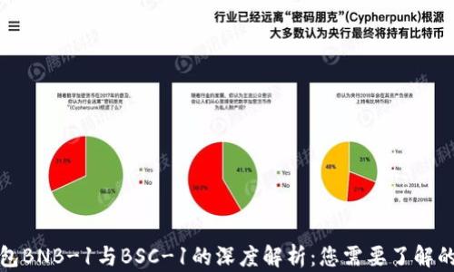 
TP钱包BNB-1与BSC-1的深度解析：您需要了解的一切