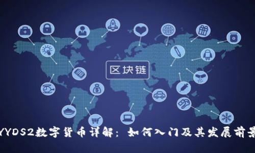 YYDS2数字货币详解： 如何入门及其发展前景