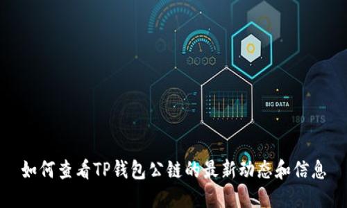 如何查看TP钱包公链的最新动态和信息