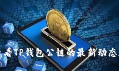 如何查看TP钱包公链的最新动态和信息