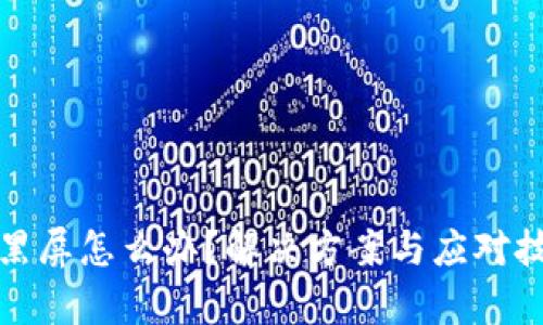 数字货币黑屏怎么办？解决方案与应对技巧全解析