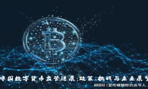 中国数字货币监管进展：政策、挑战与未来展望