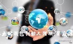 深入了解以太坊钱包创始人何斌：背后的故事与