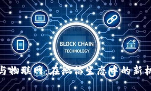数字货币与物联网：在微信生态中的新机遇与挑战
