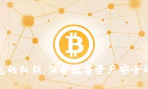 TP钱包的私钥：保护数字资产安全的关键
