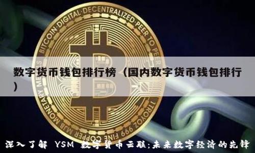   
深入了解 YSM 数字货币云联：未来数字经济的先锋