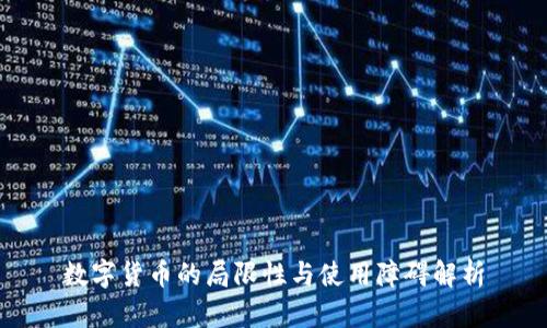 数字货币的局限性与使用障碍解析