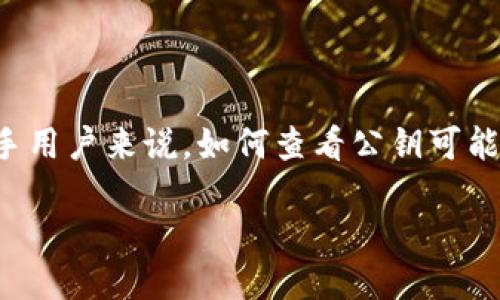 思考

在众多数字货币钱包中，TP钱包因其友好的用户界面和强大的功能而广受欢迎。但对于许多新手用户来说，如何查看公钥可能仍然是一个困惑的话题。为了帮助大家更好地了解和使用TP钱包，以下是一个的和相关关键词。

如何轻松查看TP钱包的公钥：全面指南
