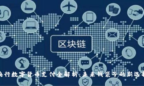 央行数字货币支付全解析：未来钱袋子的新选择