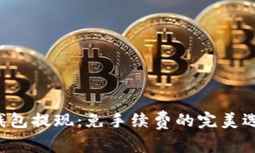 TP钱包提现：免手续费的完美选择！