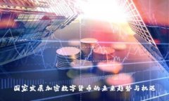 国家发展加密数字货币的未来趋势与机遇