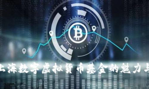 探索上海数字虚拟货币基金的魅力与机遇