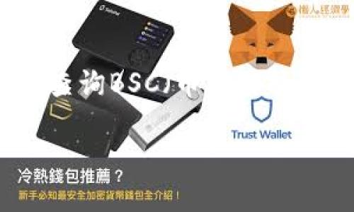提示：以下内容为构建文章的结构和内容提纲，内容将围绕TP钱包查询BSC（币安智能链）交易的主题展开，确保符合用户的搜索需求并富有情感和细节。

轻松易用：TP钱包查询BSC交易的全面指南