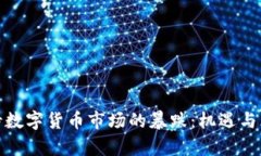 如何看待数字货币市场的暴跌：机遇与风险并存