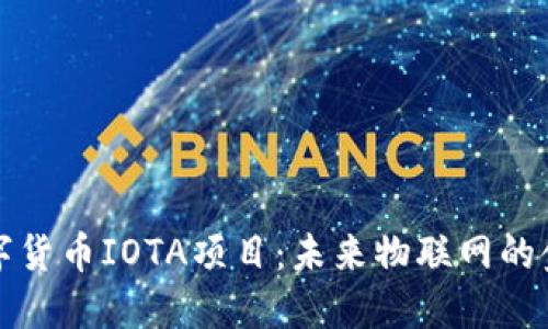 深入探讨数字货币IOTA项目：未来物联网的金融解决方案