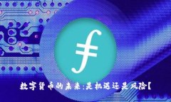 数字货币的未来：是机遇还是风险？