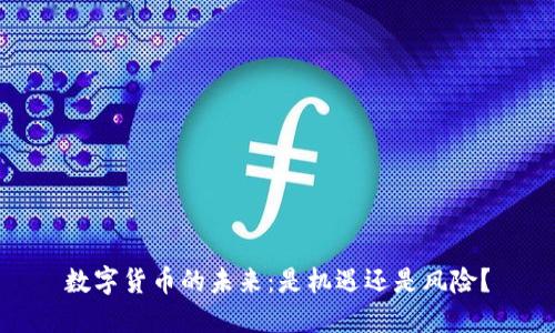 数字货币的未来：是机遇还是风险？