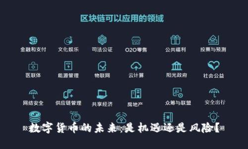 数字货币的未来：是机遇还是风险？