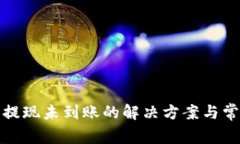 TP钱包提现未到账的解决方案与常见问题