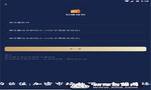 TP钱包的潜力估值：加密市场的下一个明星还是昙花一现？